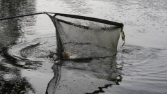 DKAC Jugendgruppe - Jugendfischen 2010